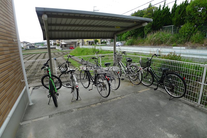 Canccr-taka その他12