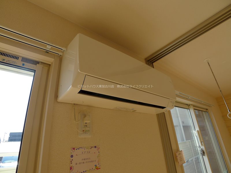 マイフィールド その他6