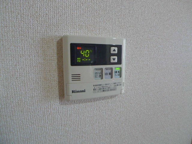 アルブルシャルマン その他6