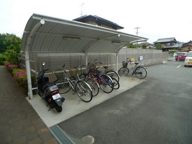 アルブルシャルマン その他8