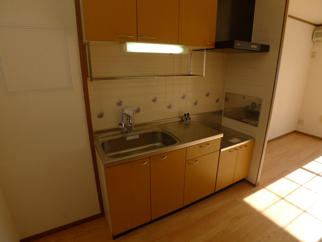 ヴェルドュールB  その他13