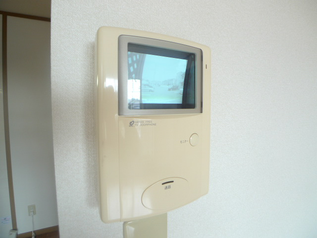 コモドジラソーレ その他5