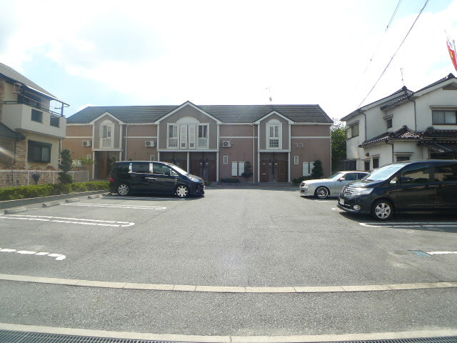 コモドジラソーレ その他11