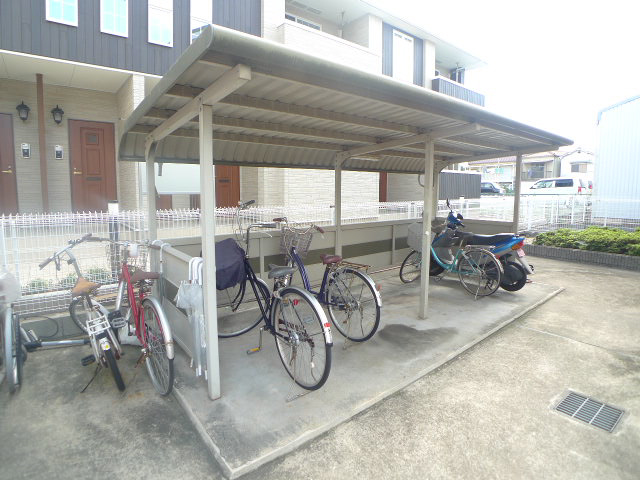 コモドジラソーレ その他12