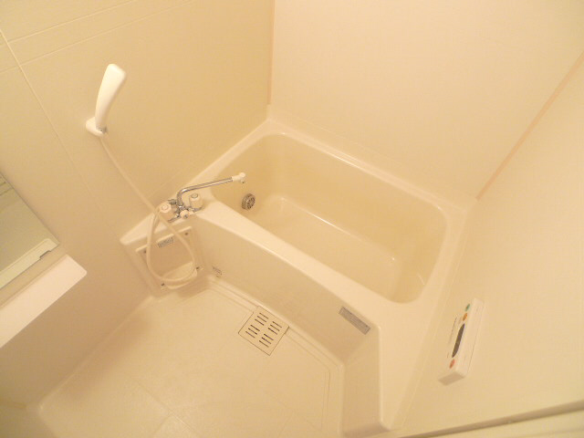 コモドジラソーレ 風呂画像