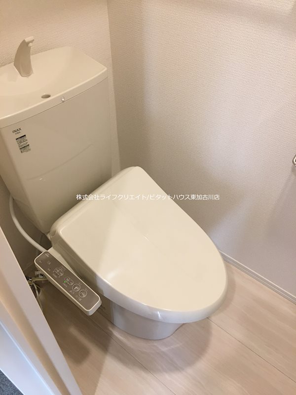 プラム その他2