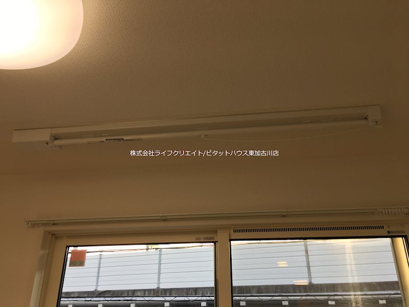 プラム その他7