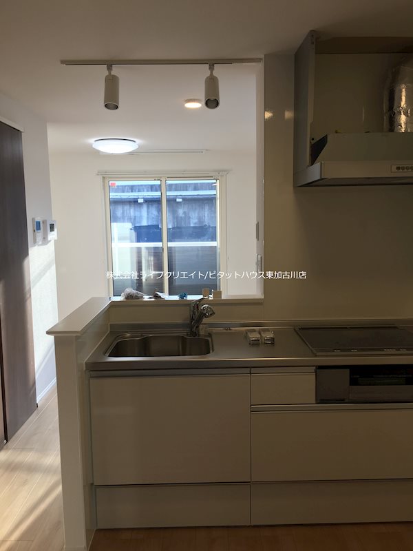 プラム その他17