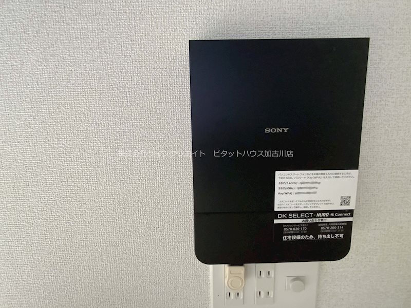 アメジスト その他11