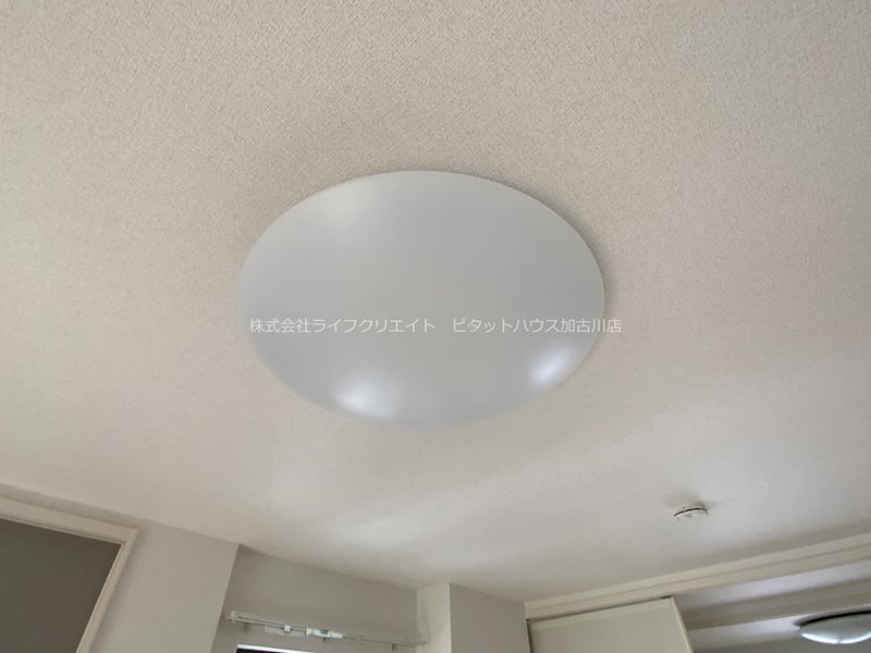 アメジスト その他20