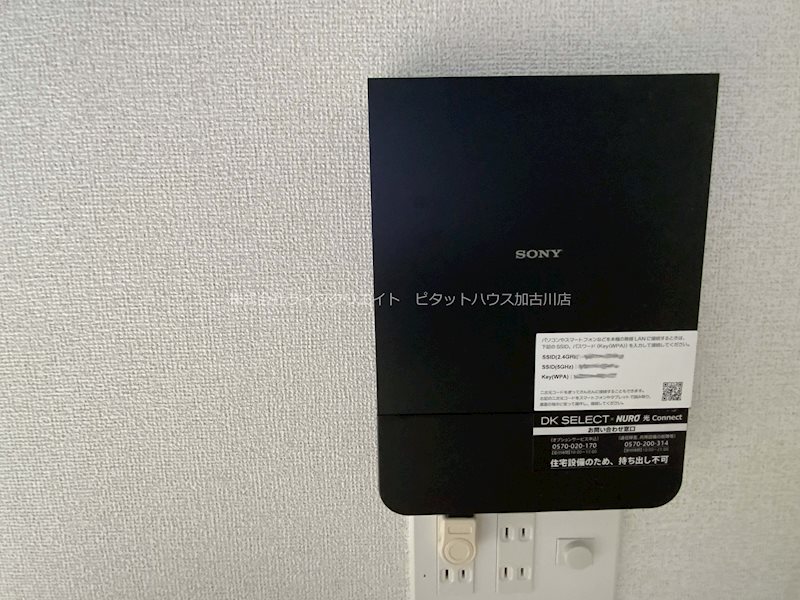 アメジスト その他8
