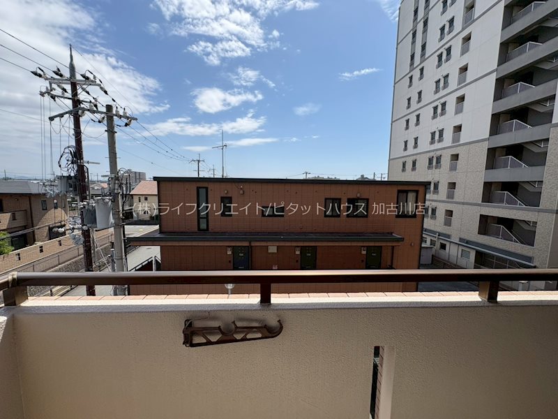 クレストコート加古川 その他17