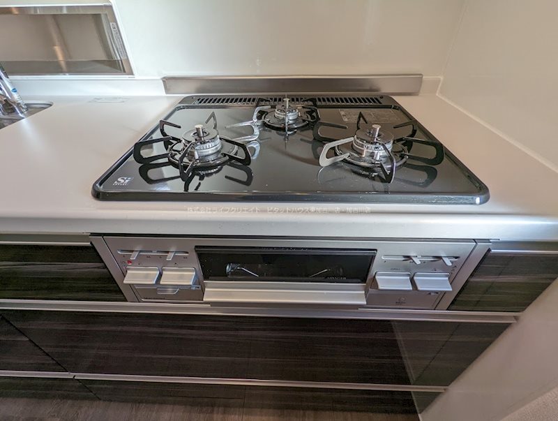 フローヴィオ その他12