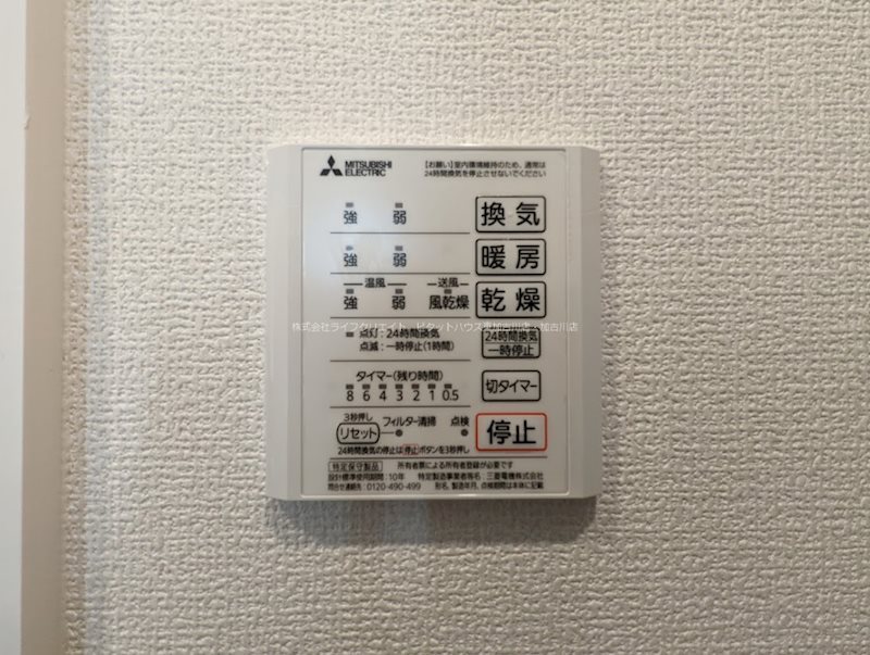 フローヴィオ その他15