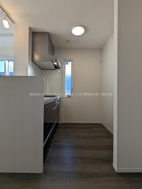 フローヴィオ  その他11