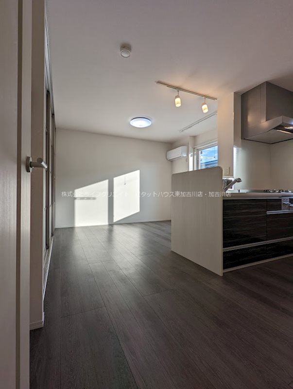 フローヴィオ  その他12