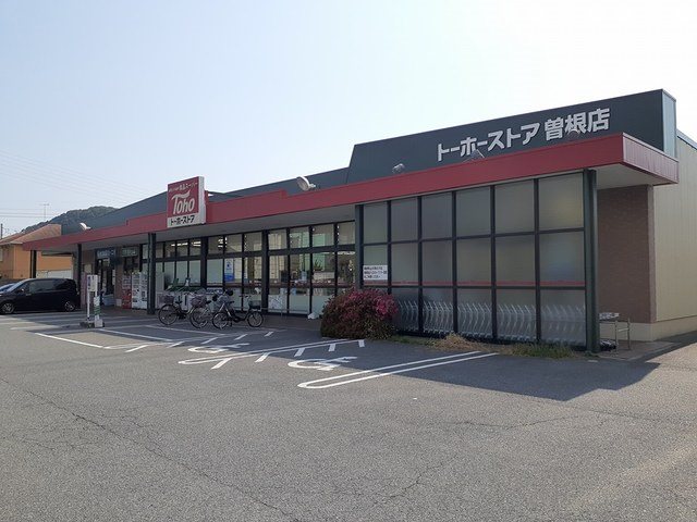 グレース　アベリア その他9