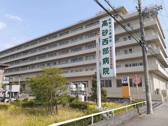 グレース　アベリア その他10