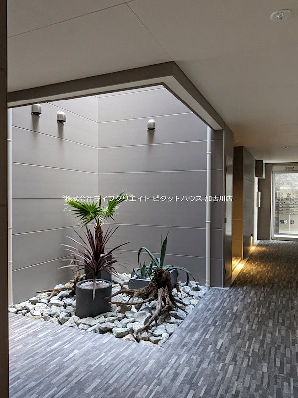 maison blanche（メゾン・ブラン） その他2