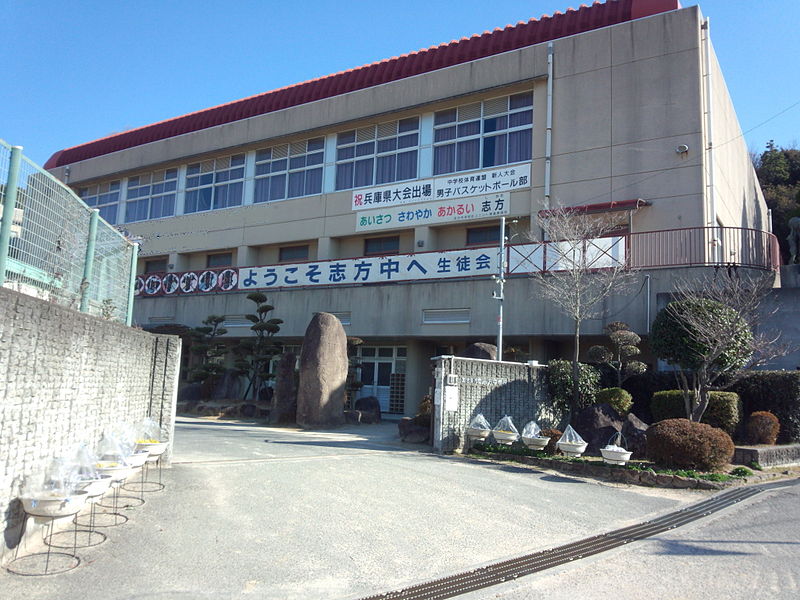 サンフラワーハイツ 周辺画像5