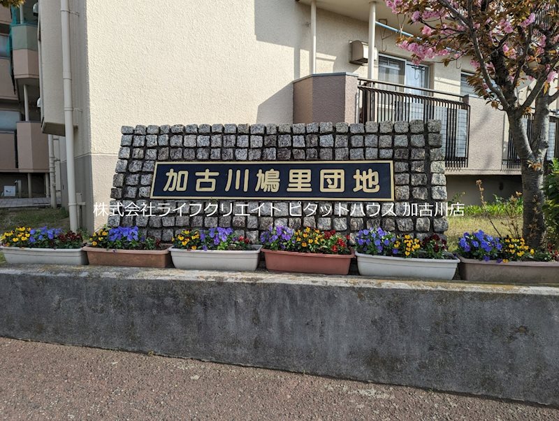 鳩里団地5号棟 その他19