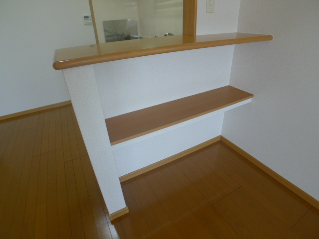 アウローラA その他12