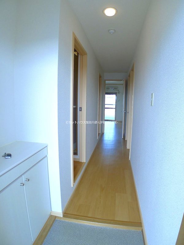 グランデージⅡ番館 玄関