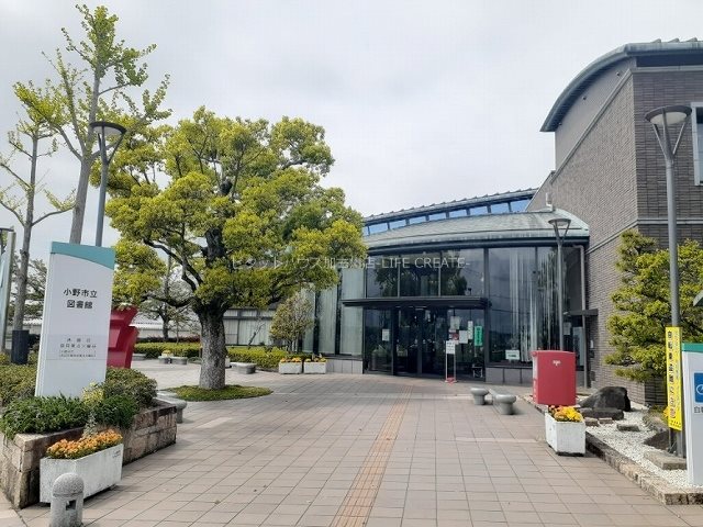 カトレアⅠ その他7