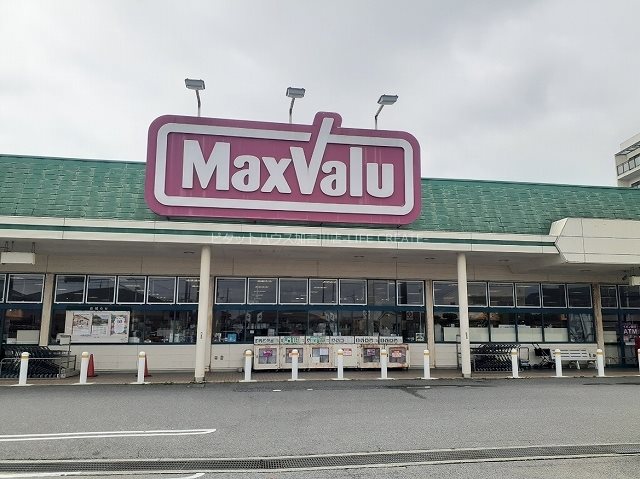 カトレアⅠ その他8