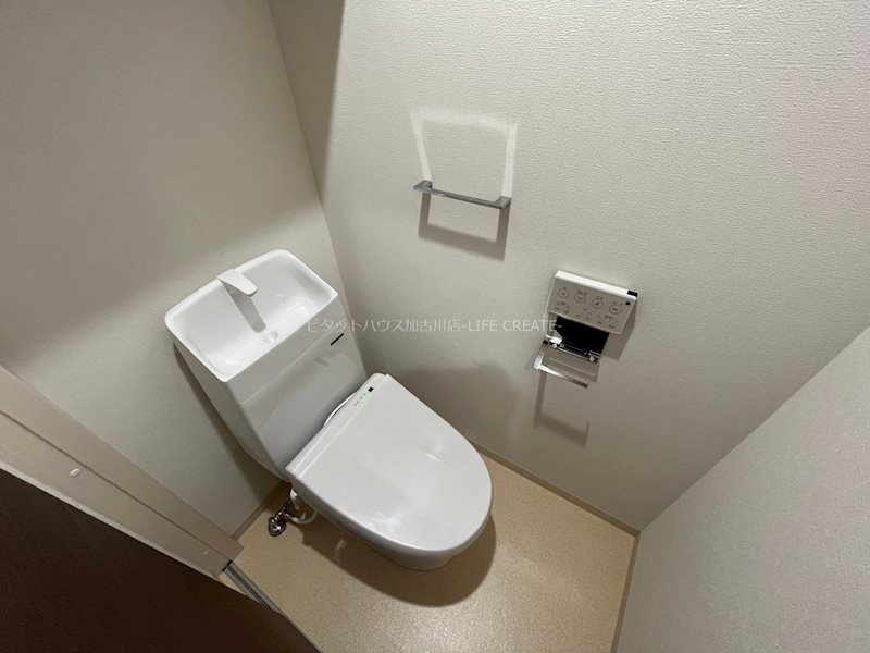 アンドキートス その他1