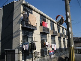 レオネクスト葵 その他7