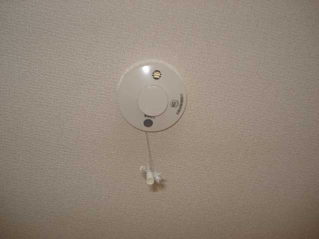 ネオパリエＡ その他16