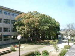 神野町石守戸建 周辺画像4