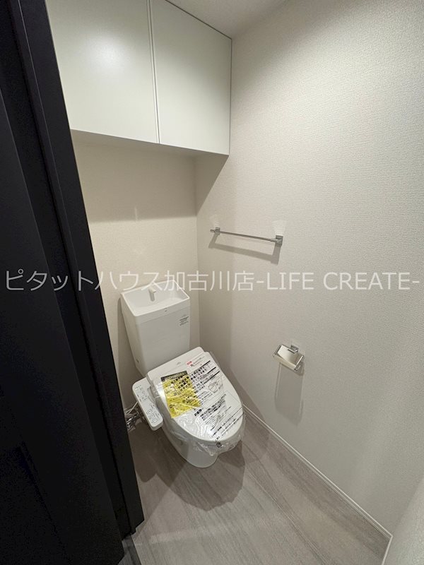 ケルプ その他2