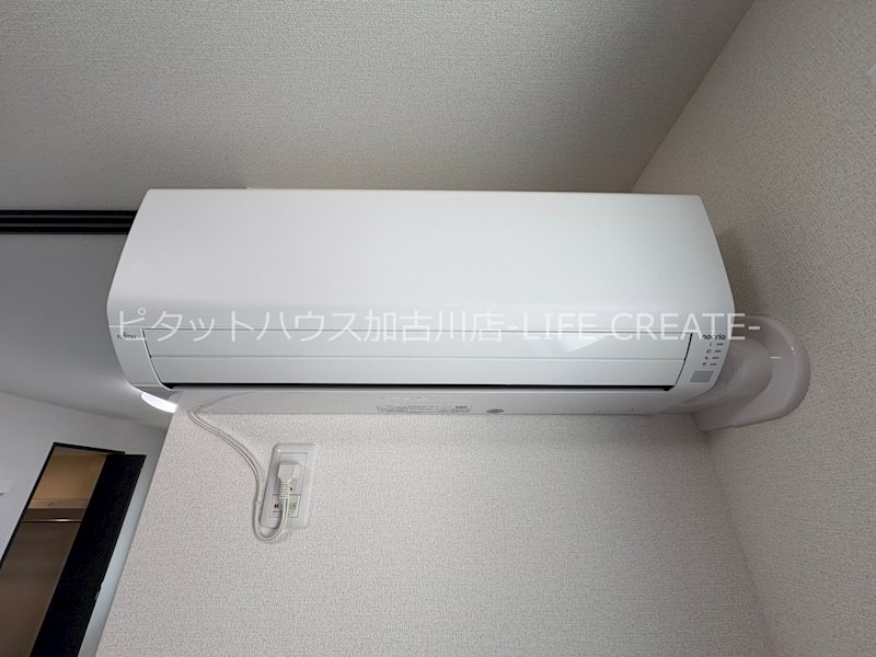 ケルプ その他4