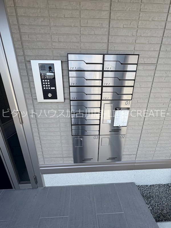 ケルプ その他外観1