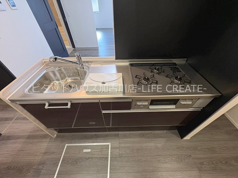 ケルプ その他8