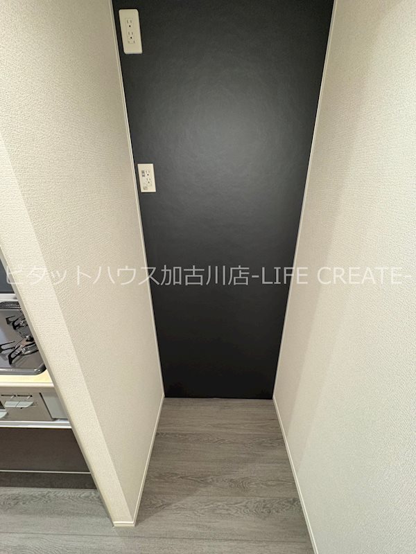 ケルプ その他11