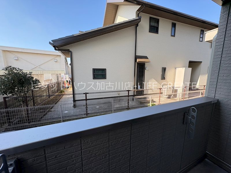 ケルプ その他13