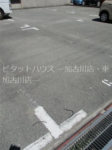 ザ・サンライズ宝殿 その他10