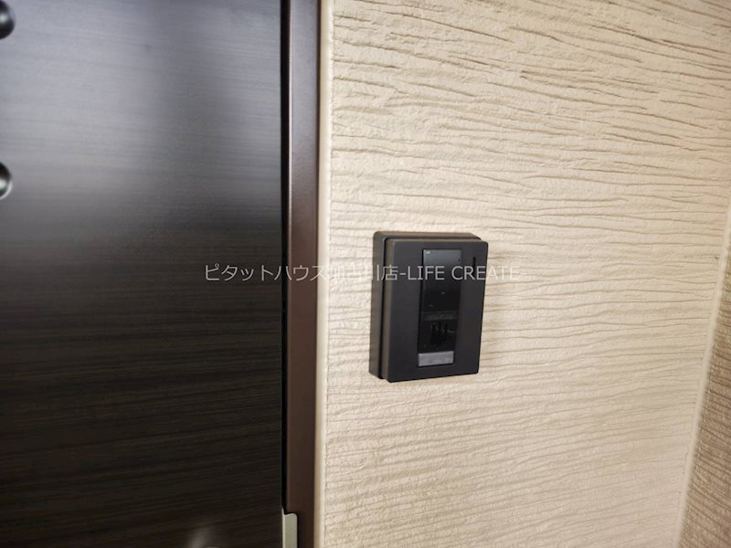F asecia propus その他11