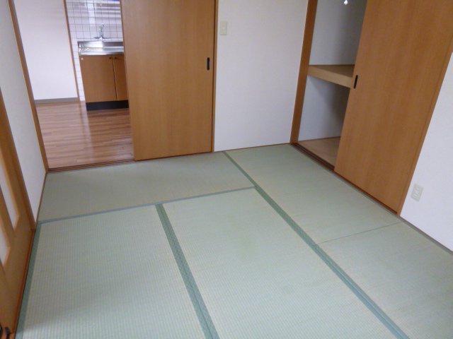 その他13