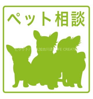 エステイトE東加古川 その他6