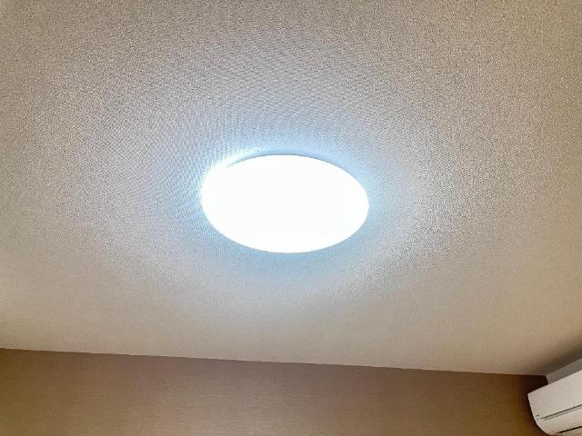 その他15
