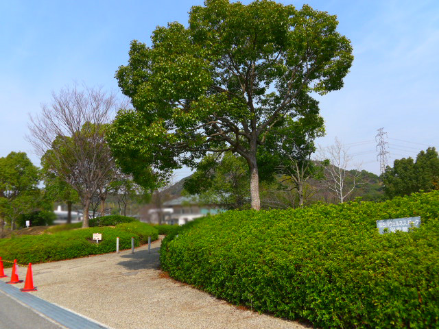 東神吉町天下原＿自動車整備工場 周辺画像4