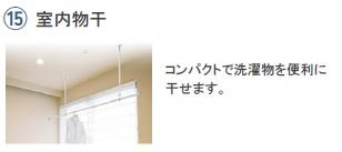 ハナミズキ その他13