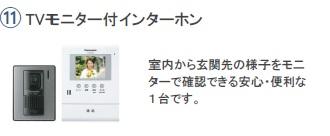 ハナミズキ その他5