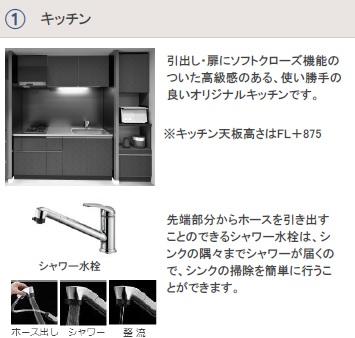 ハナミズキ その他10