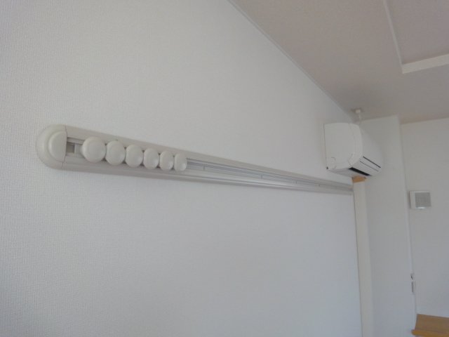 アンテノール その他11