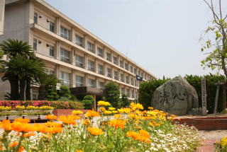 小沢ハイツ 周辺画像4